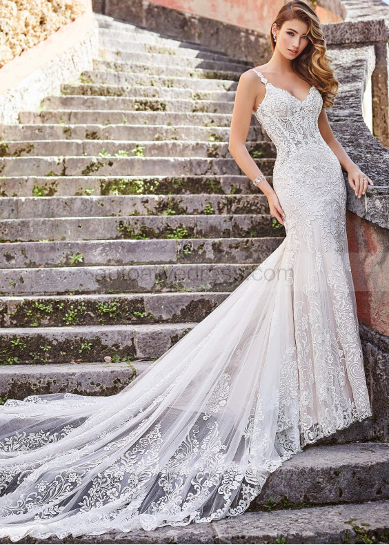 Beaded Ivory Lace Tulle Wedding Dress With Champagne Lining Beaded Ivory Lace Tulle Wedding Dress With Champagne Lining